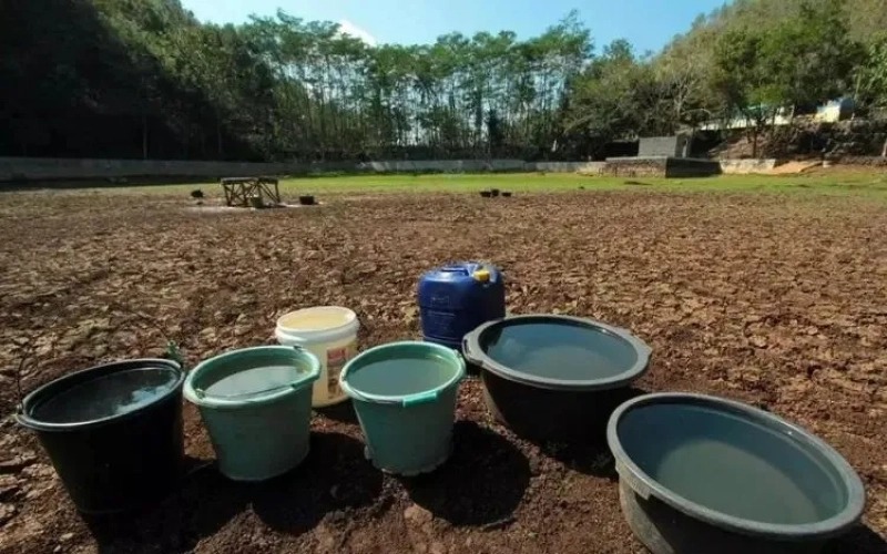 Indonesian coffee production rebounds: 12.3% rise in 2024/25 season amid weather and fertilizer concerns