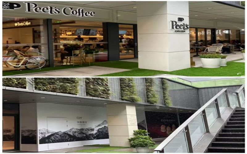 Peet's Coffee Shenzhen Flagship Store Closes Lights: Flavor Choices & Layout Strategy Behind Southern China Market Adjustments