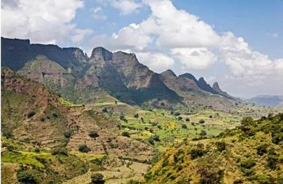 A Complete Guide to Yirgacheffe Coffee Beans: An Introductory Exploration of Ethiopian Washed Flavors and Regional Characteristics
