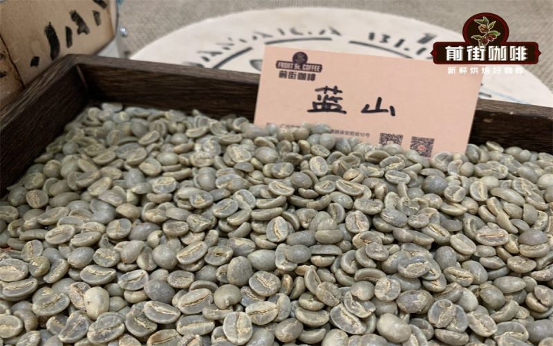 A Complete Guide to Jamaica Blue Mountain Coffee: Price, Flavor, Grading, Brewing & Buying Tips