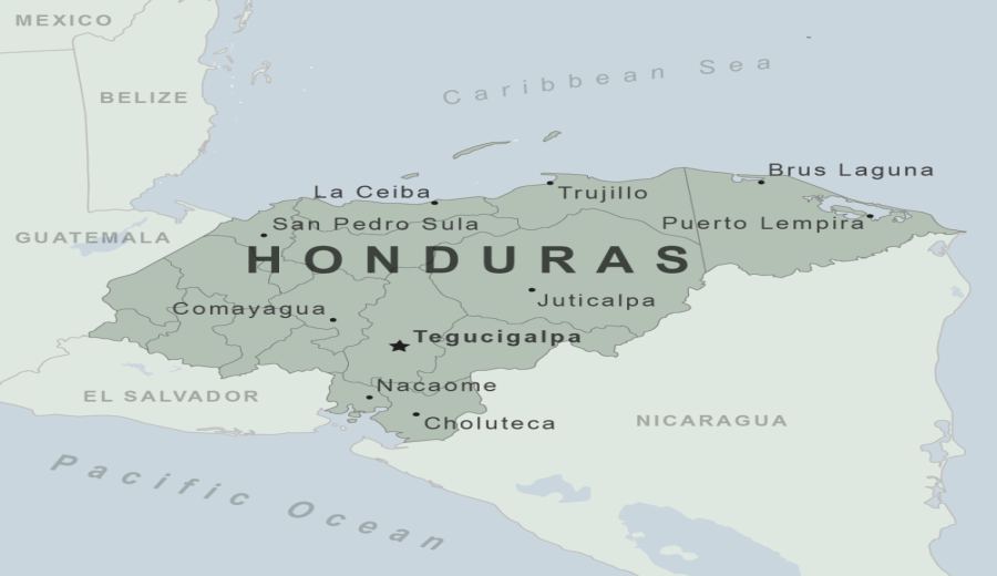 Complete Guide to Honduran Lishilan Coffee: Brandy Barrel Fermentation & Pour Over Brewing Techniques