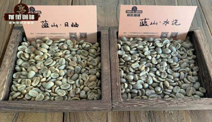 Jamaica Blue Mountain No.1 Coffee Beans: Price, Authenticity Guide, and Pour Over Flavor Profile