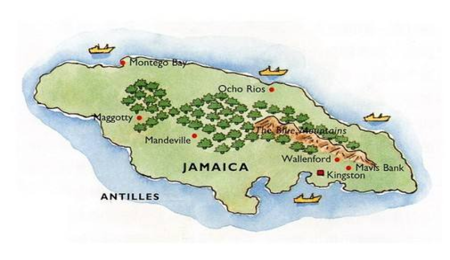 The Ultimate Guide to Jamaican Blue Mountain Coffee: Grades, Flavor, Authenticity & Pour Over Parameters