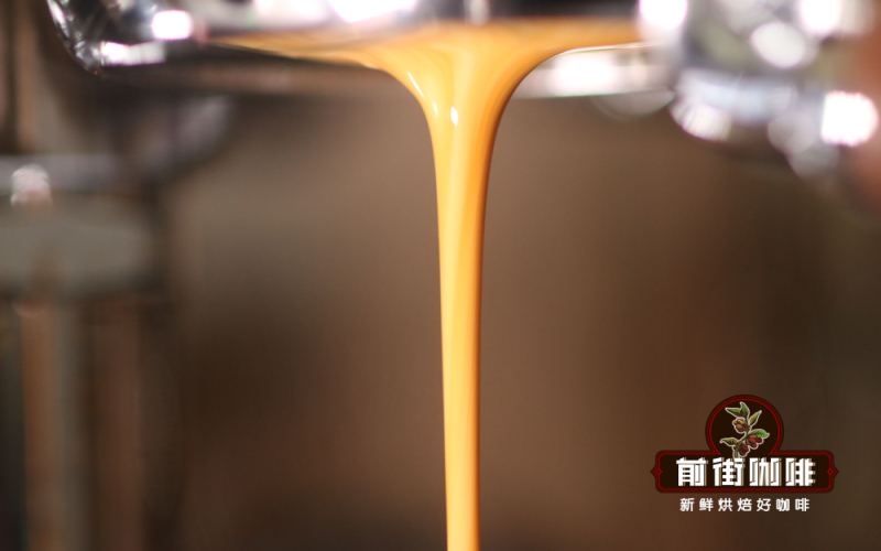 Complete Guide to SOE Coffee: Differences Between Single-Origin and Blends, Pricing, and Extraction Techniques