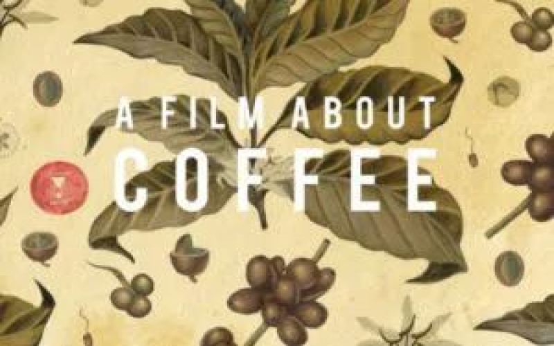 Three Must-Watch Coffee Documentaries: From the Industry Chain to Competitions and the Evolution of U.S. Coffee Culture