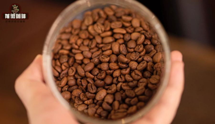 The Ultimate Guide to Giant Elephant Beans: Variety Origins, Growing Environments, and Brewing Flavor Profiles
