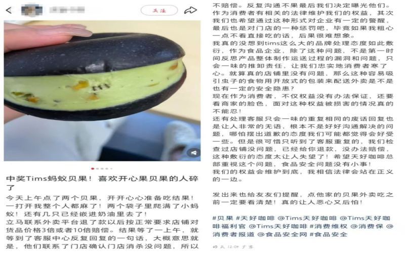 Live ants found in bagels from a chain coffee shop: Analyzing food delivery safety risks and consumer rights