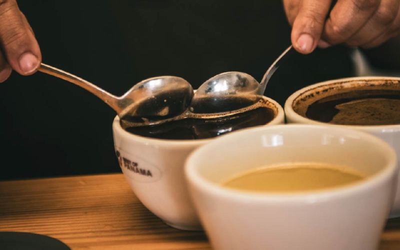 The Ultimate Guide to Panama Elida Geisha Beans: ASD Processing, Pour Over Parameters & Flavor Profile