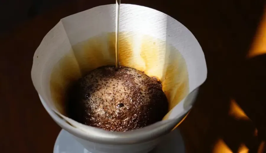 The Science Behind the Bloom Bloom in Pour Over Coffee: Analyzing the Impact of Freshness, Roast Level, and Brewing Parameters