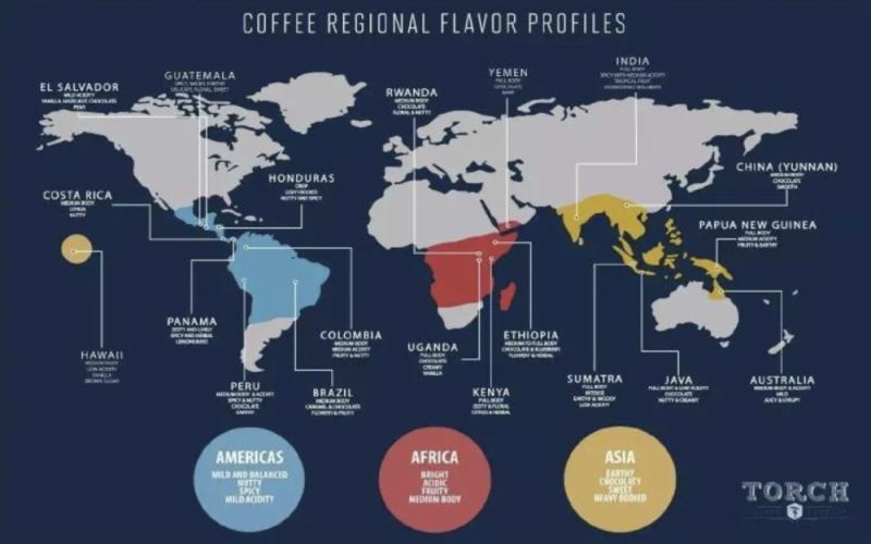 Analysis of the World’s Three Major Coffee Belt Regions: How Climate and Altitude Influence Flavor?