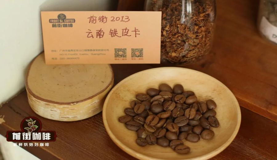 An Analysis of Yunnan Catimor and Typica Coffee Beans | A Guide to Flavor Differences and Processing Method Selection