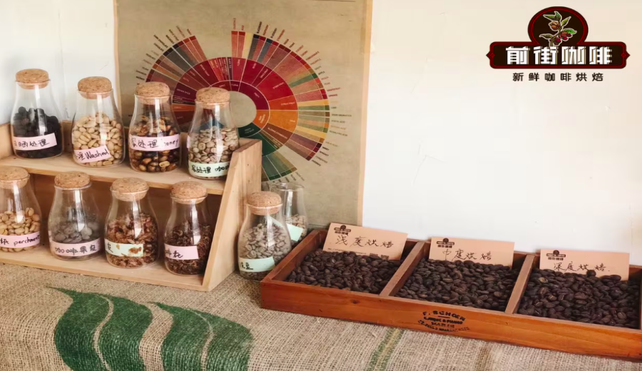 How to Choose Hawaiian Kona Coffee Beans? A Complete Guide to Origin, Grading, and Pour Over Parameters