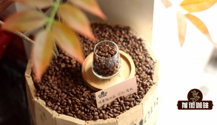 Kenya PB Peaberry Analysis | Unique Flavors Brought by K72 Washed Process and Grade 8 Classification