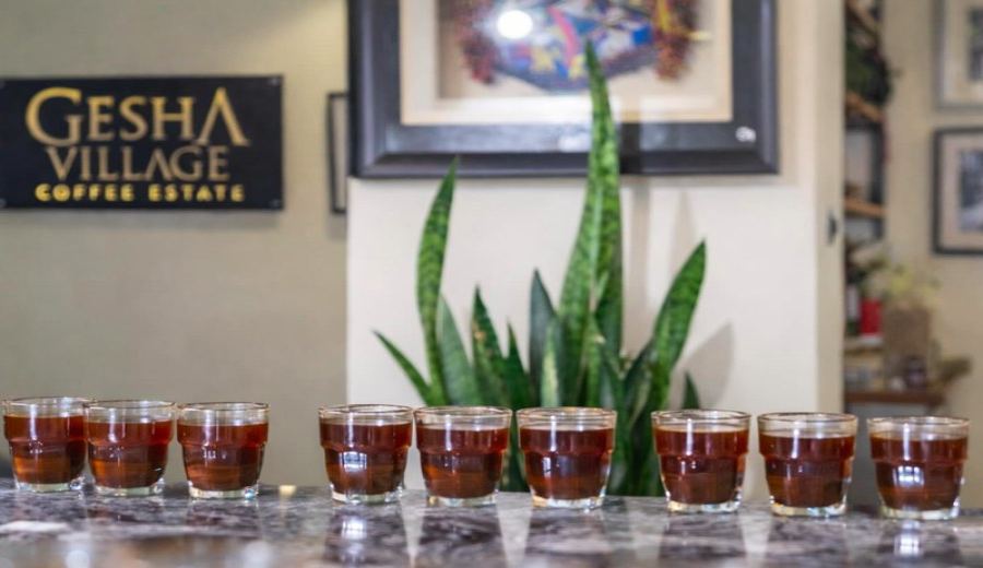 How to Choose Jamaican Blue Mountain Coffee? Select the Optimal Flavor Window by Roast Date