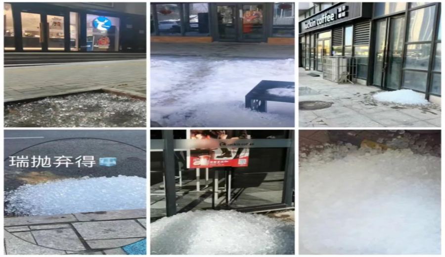 The Dangers of Improperly Dumped Coffee Shop Ice Waste: Landscape Experts Explain the Survival of Street Trees