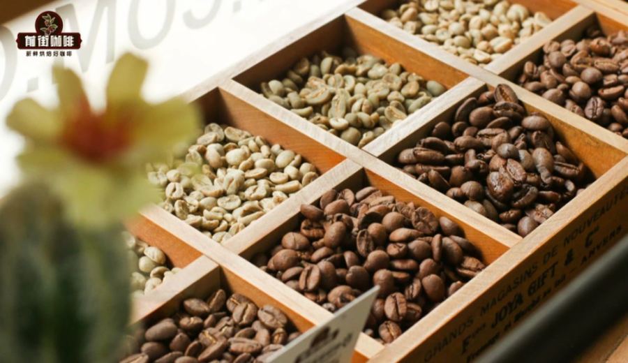 Kenyan Coffee Peaberry vs Flat Bean: A Full Analysis of Flavor Differences and Brewing Parameters