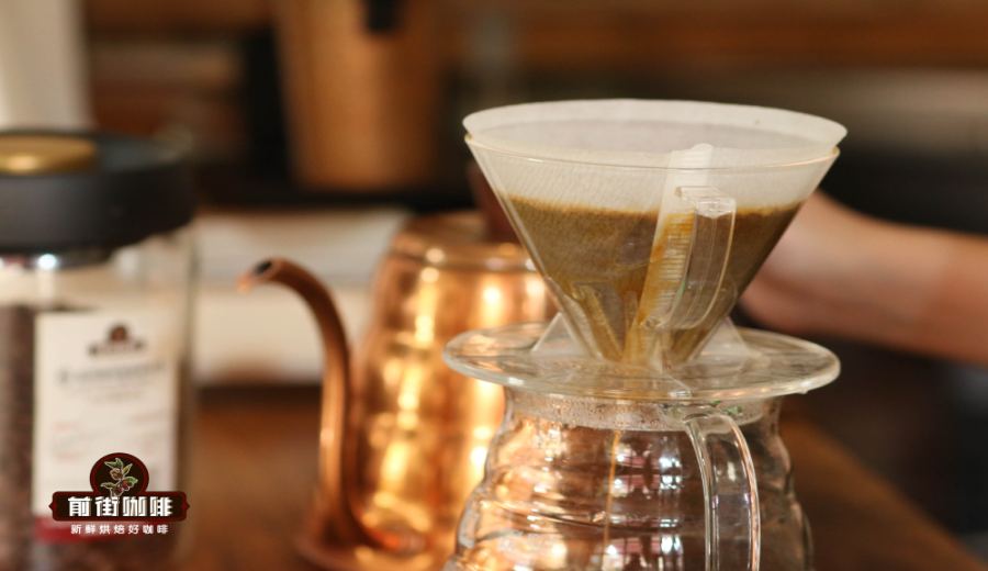 Complete Guide to India’s Five Major Coffee Varieties and Monsoon Processing: Flavor Profiles and Brewing Recommendations