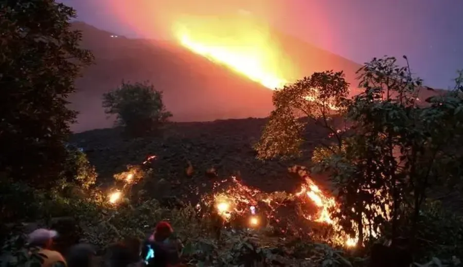 El Niño Rampage: Guatemalan Coffee Regions Face Drought and Power Crisis