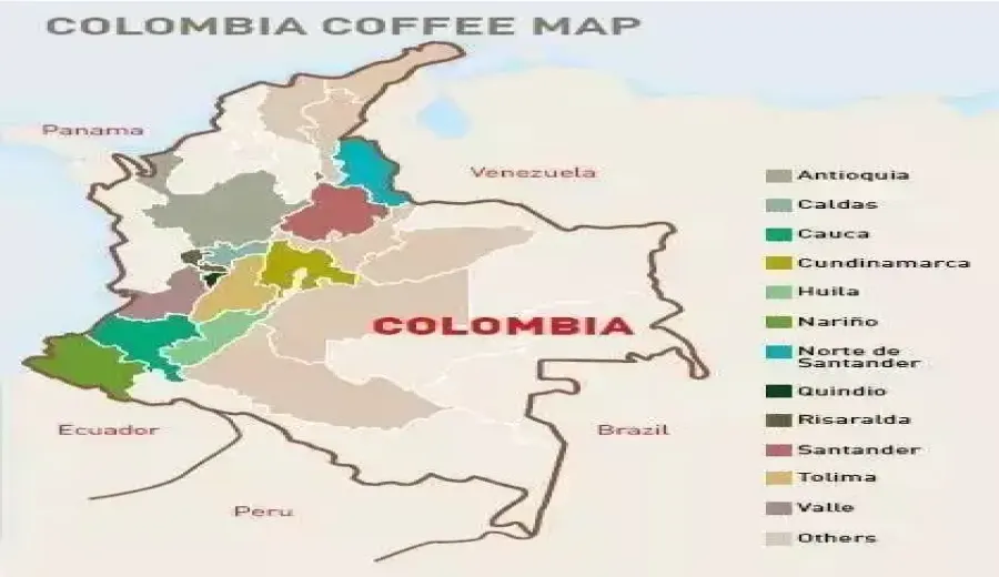 Complete Guide to Colombian Specialty Coffee: Regions, Seasons, Varieties & Flavor Profiles