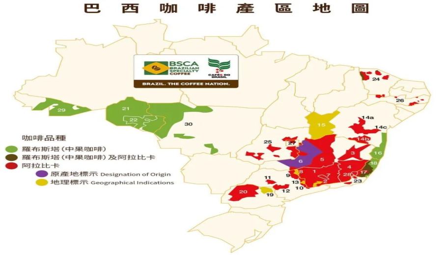 A Complete Guide to Brazilian Coffee Regions | Flavors, Grading, Processing Methods, and Pour Over Recommendations