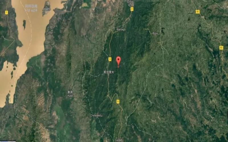 How to distinguish between Yirgacheffe G1 and G2? Master everything from defect standards to cupping scores