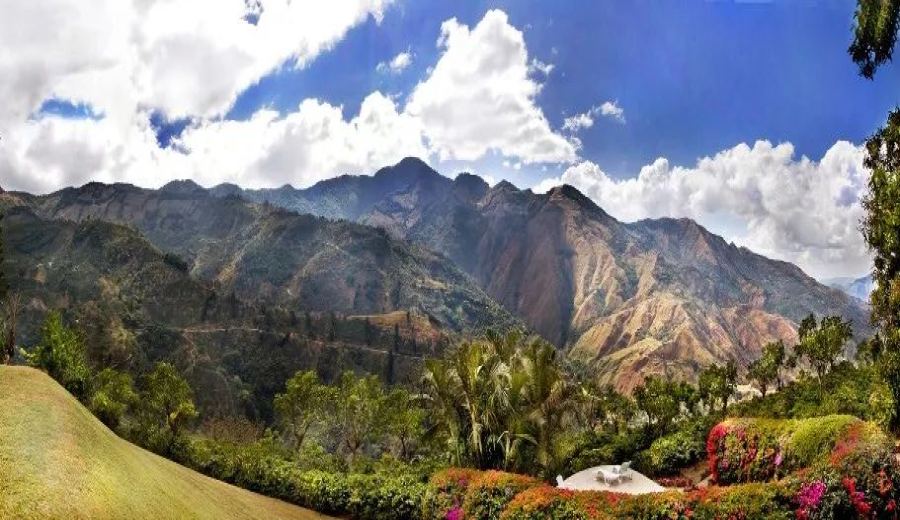Guatemala’s Nuevo Oriente Geisha Coffee: A Comprehensive Guide to Terroir, Honey Processing & Brewing