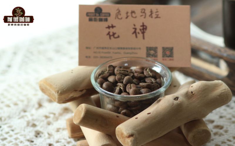 Flavor Profile and Pour Over Brewing Guide for Guatemala Antigua Fleur de Sel Coffee Beans