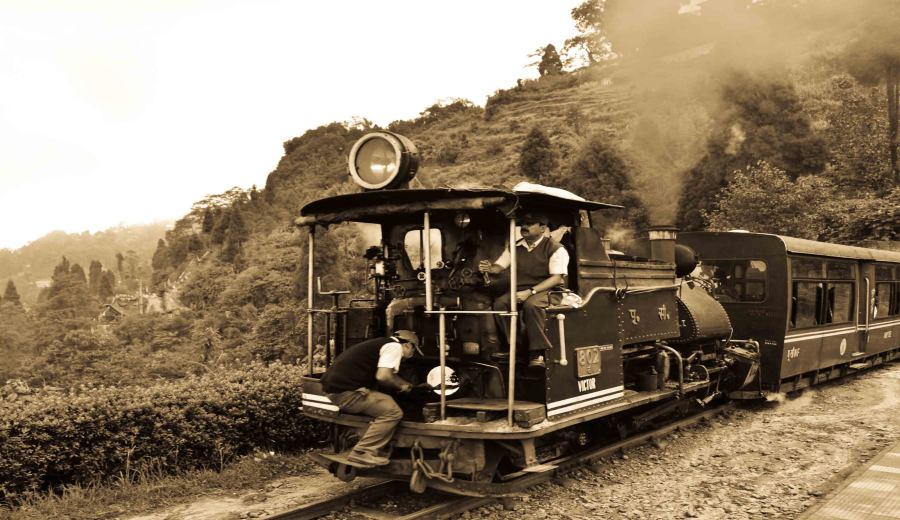 A Comprehensive Analysis of Darjeeling Tea Region Development: From the First Tea Garden to 86 Estates Over a Century