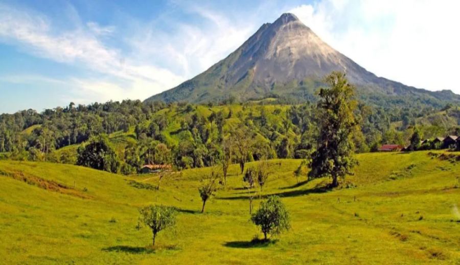 In-depth Analysis of Costa Rica Tarrazú H1 Variety | Musician Series Mozart Honey Process & Flavor Profile