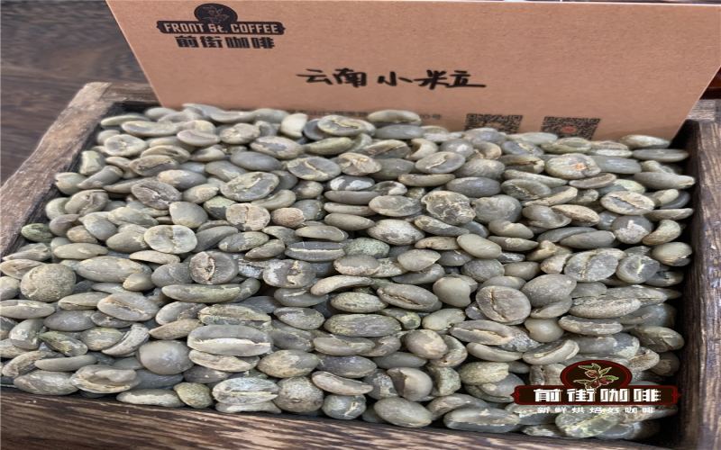 Analysis of Yunnan Small Bean Coffee Varieties | Flavor Differences Between Typica and Bourbon and Regional Characteristics