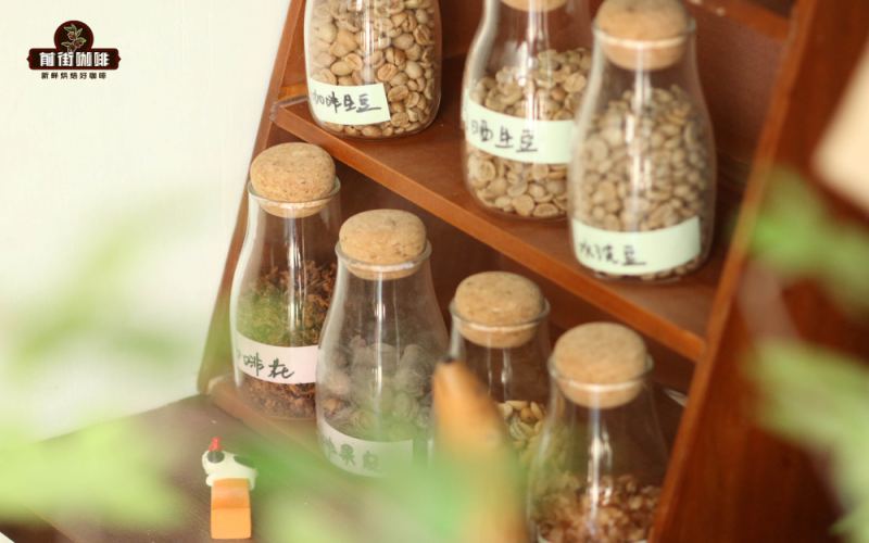 A Comprehensive Guide to Indonesian Sumatra Mandheling Beans: Varieties, Processing Methods, and Regional Flavor Differences