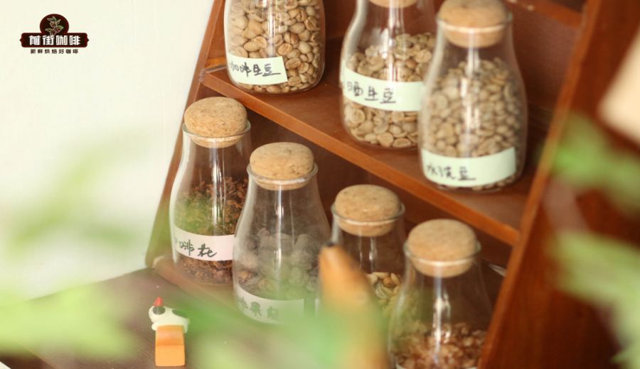 Aged Mandheling Flavor Analysis: The Classic Oddity in Sumatran Coffee and Brewing Secrets
