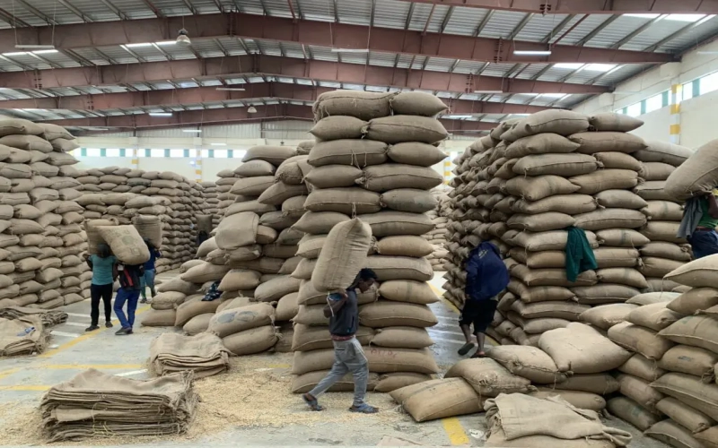 How to distinguish between Ethiopia Sidamo G1 and G2 beans? Understand grading, flavor, and brewing all in one go