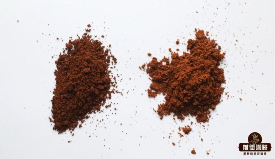 From Light to Dark Roast: A Complete Guide to Coffee Beans for Coffee Machines & Flavor Analysis