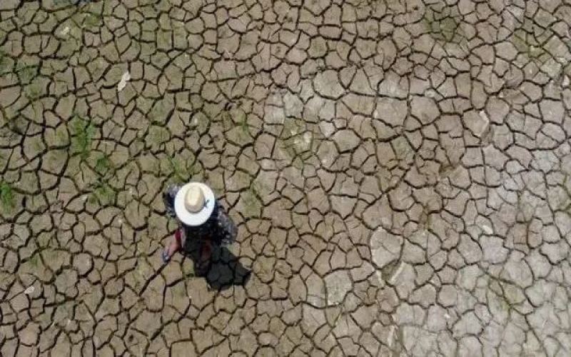 Brazil drought and wildfires rage on！Coffee-growing regions face unprecedented challenges and risks