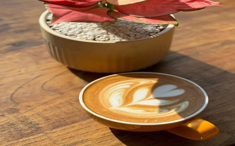 Independent café loses 40K per month: Should the 2 million investment be sustained or cut? A practical breakdown of operational optimization