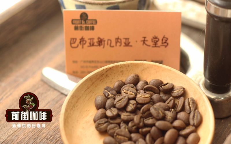 A Complete Guide to Coffee Varieties: Flavor Differences Between Arabica and Robusta and Processing Techniques