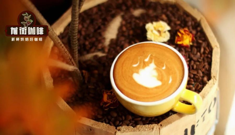 How to nail the golden ratio for a latte? Master everything from roast level to hot or cold drinks