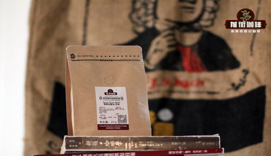 Costa Rica Beethoven Washed Yellow Caturra: High-Altitude (1900m) Pour Over Flavor Profile & Brewing Guide