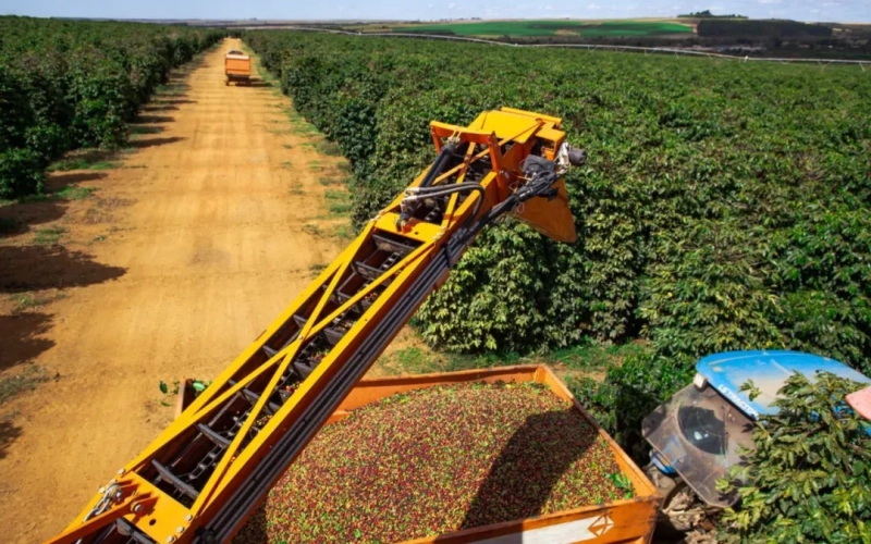 Brazilian coffee production unexpectedly declines！Robusta futures prices hit the $4,000 mark