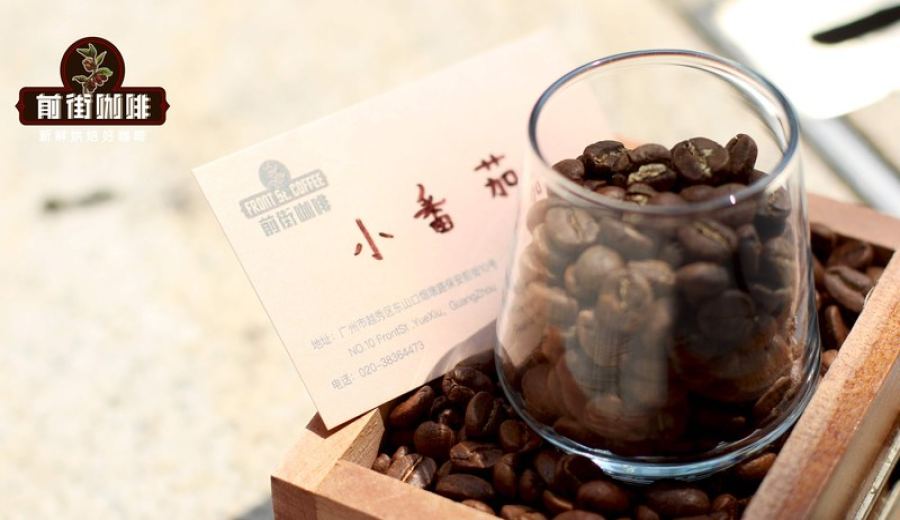 The Ultimate Guide to Roast Levels of Natural Process Coffee Beans | Pour Over, Espresso & Milk Coffee Pairing Guide