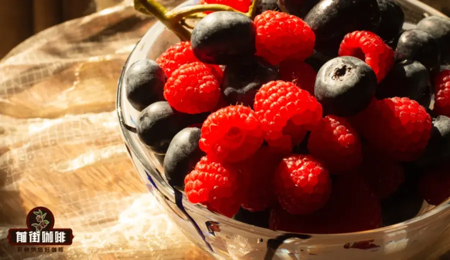 Analysis of Berry Flavors in Pour Over Coffee: What’s the Difference Between Berries and Fruits?