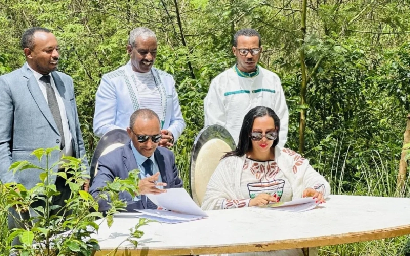 Ethiopian coffee exports hit $1.4 billion — how the currency crash impacts industry & livelihoods?