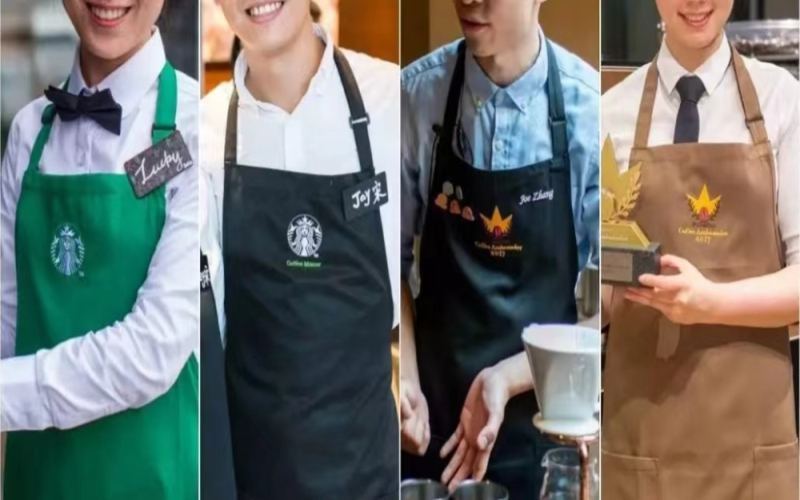 From Barista to District Manager: A Complete Guide to Starbucks' Career Development and Salary Structure