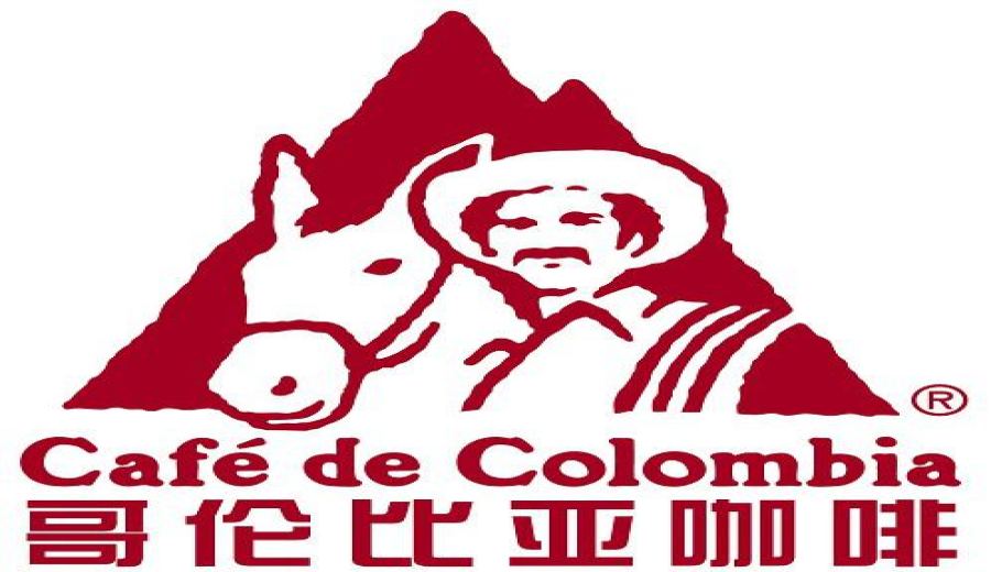 A Complete Guide to the Characteristics of Colombian Huila Coffee Beans and Pour Over Flavors
