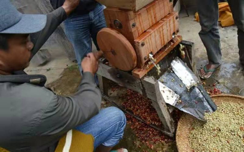 A Complete Guide to Indonesian Wet-Hulled Coffee: The Key to Mandheling Flavor Formation and Brewing Techniques