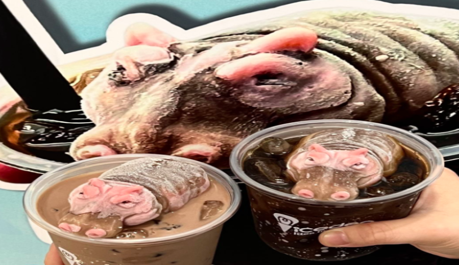 Thai Hippo Moo Deng Coffee Goes Viral: How a 99-Baht Limited-Edition Dessert Captured Hearts Online