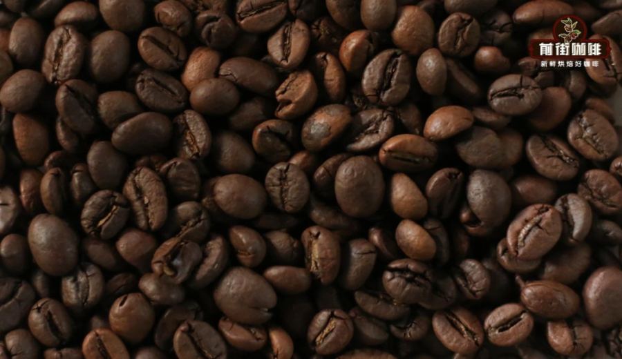 A Complete Guide to Coffee Roast Levels: Flavor Differences from Light to Dark Roast and Pour Over Recommendations
