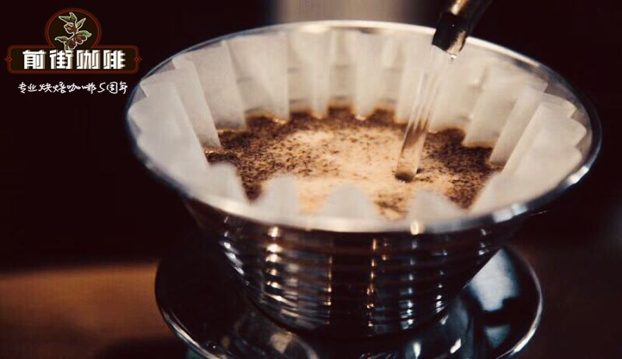 Analysis of Yunnan Small Bean Coffee Varieties: How to Choose Between Catimor and Robusta?