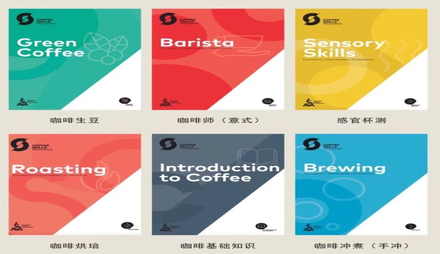 The Complete Guide to SCA Barista Certification: Levels, Costs, and Career Advancement